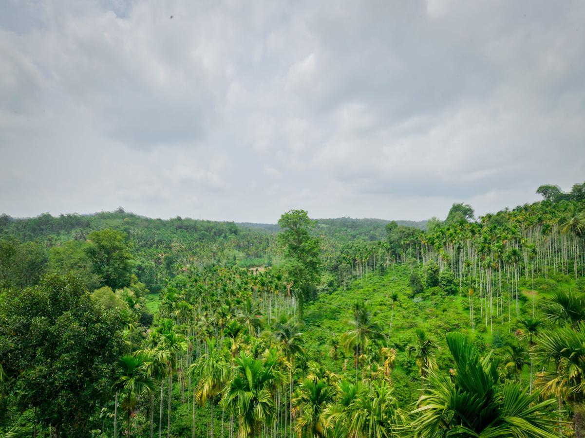 Wayanadia Resort Hotel Ambalavayal エクステリア 写真